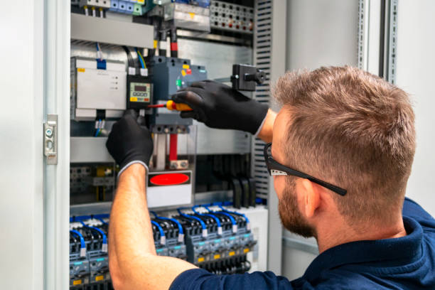 Best Electric Panel Repair  in Valmeyer, IL