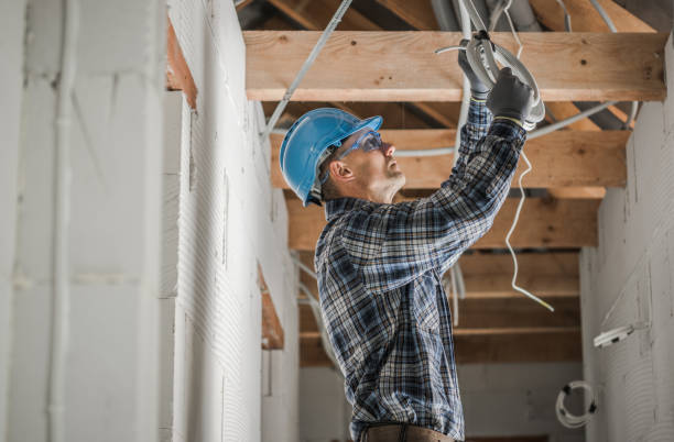 Best Electrical Repair Services  in Valmeyer, IL