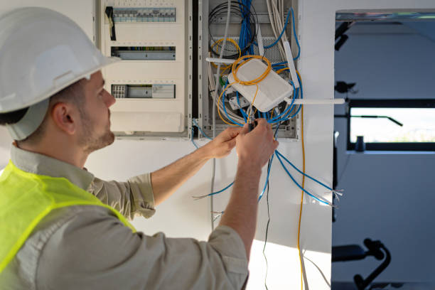 Best Electric Panel Repair  in Valmeyer, IL